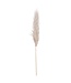 Hill Interiors Cream Pampas Grass Stem - 110 cm