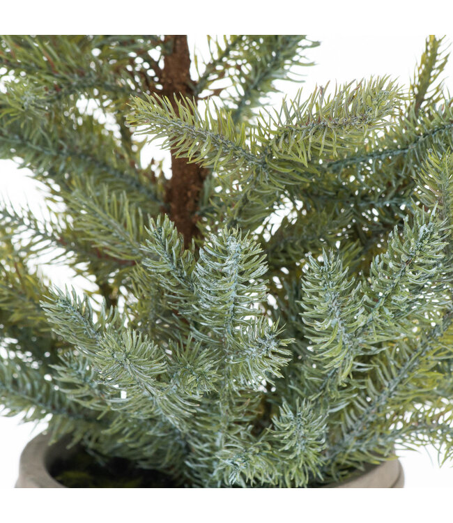 Hill Interiors Garda Pine Tree In Stone Pot