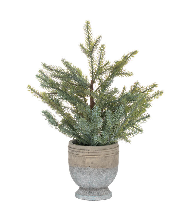 Hill Interiors Garda Pine Tree In Stone Pot