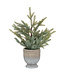 Hill Interiors Garda Pine Tree In Stone Pot