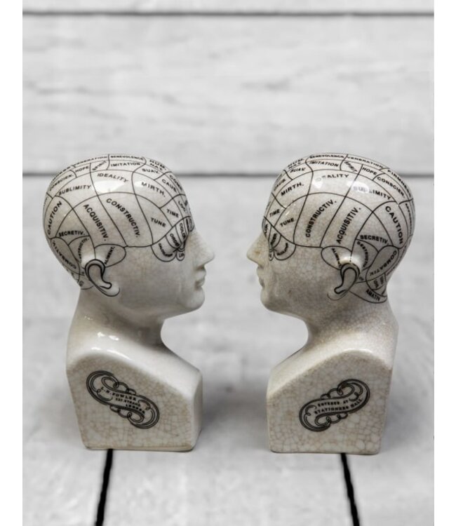McGowan & Rutherford Ceramic Phrenology Head Bookends