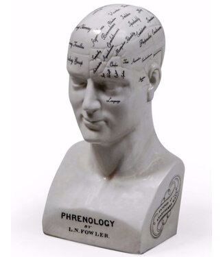 McGowan & Rutherford Large Ceramic Phrenology Head