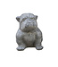 Small Bulldog Sculpture