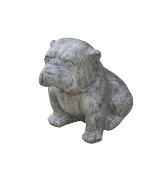 Small Bulldog Sculpture