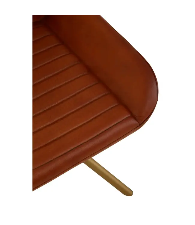 Buffalo Leather Chair