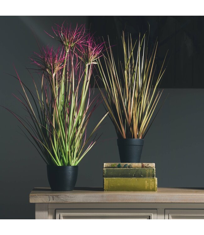 Hill Interiors Water Bamboo Grass 24 Inch