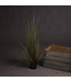 Hill Interiors Spray Grass 37 Inch