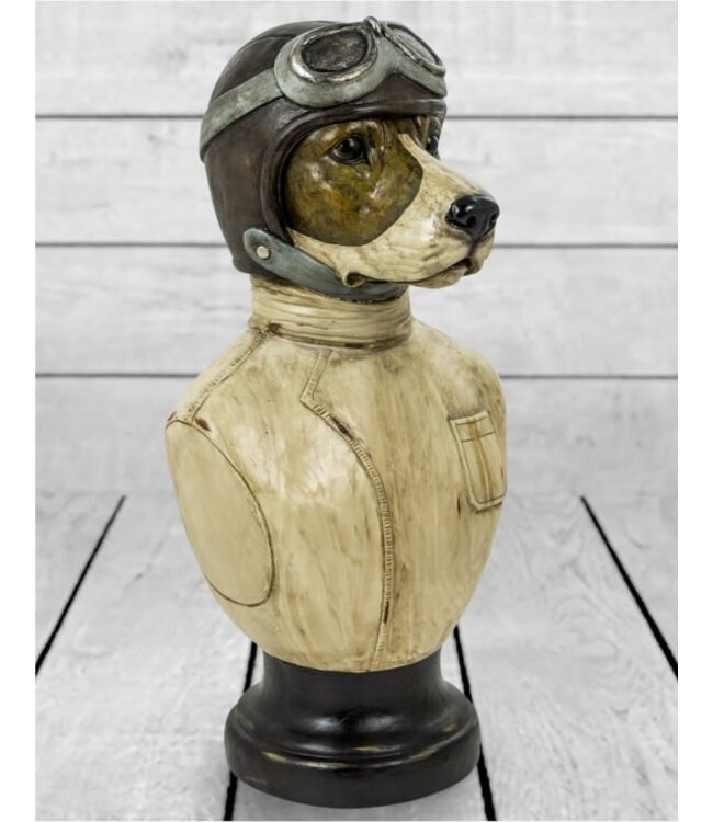 McGowan & Rutherford Racing Driver Dog Bust