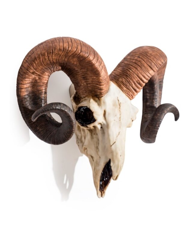 McGowan & Rutherford Ram Skull Wall Head