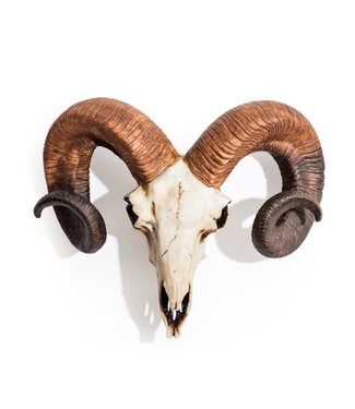 McGowan & Rutherford Ram Skull Wall Head