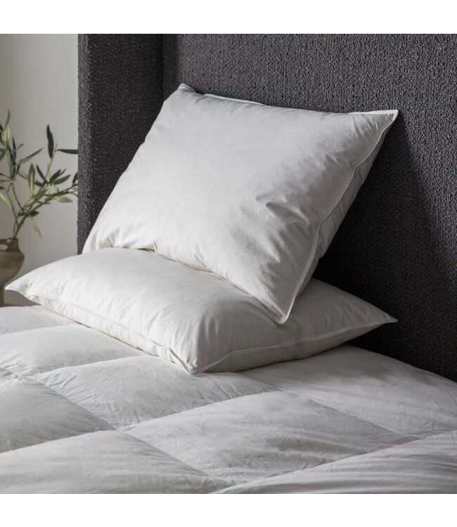 Simply Sleep 2 Pack Duck Feather Pillow