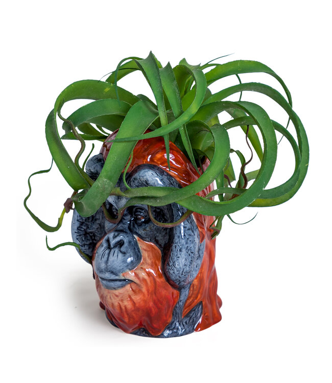 McGowan & Rutherford Ceramic Orangutan Head Jar/Vase