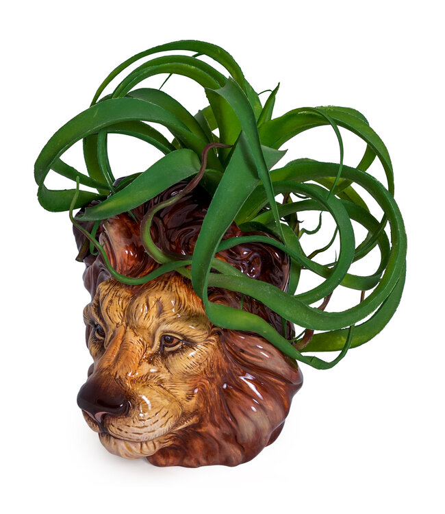 McGowan & Rutherford Ceramic Lion Head Jar/Vase