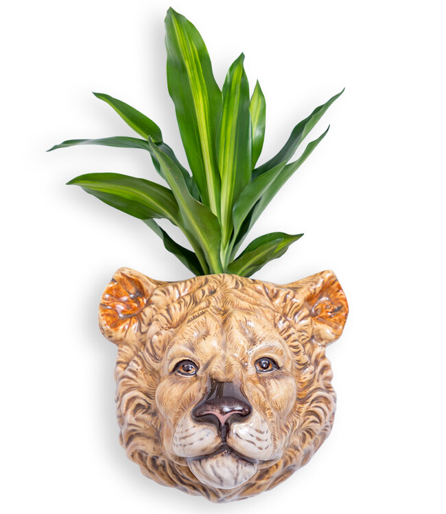 McGowan & Rutherford Lioness Head Wall Sconce Vase