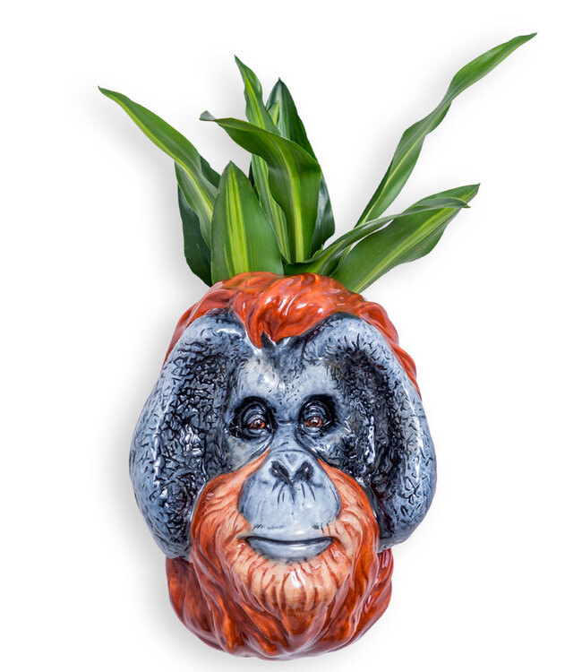 McGowan & Rutherford Orangutan Head Wall Sconce Vase