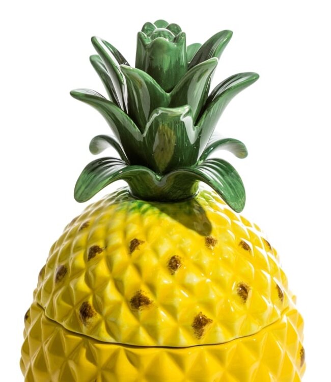 Large Ceramic Pineapple Jar