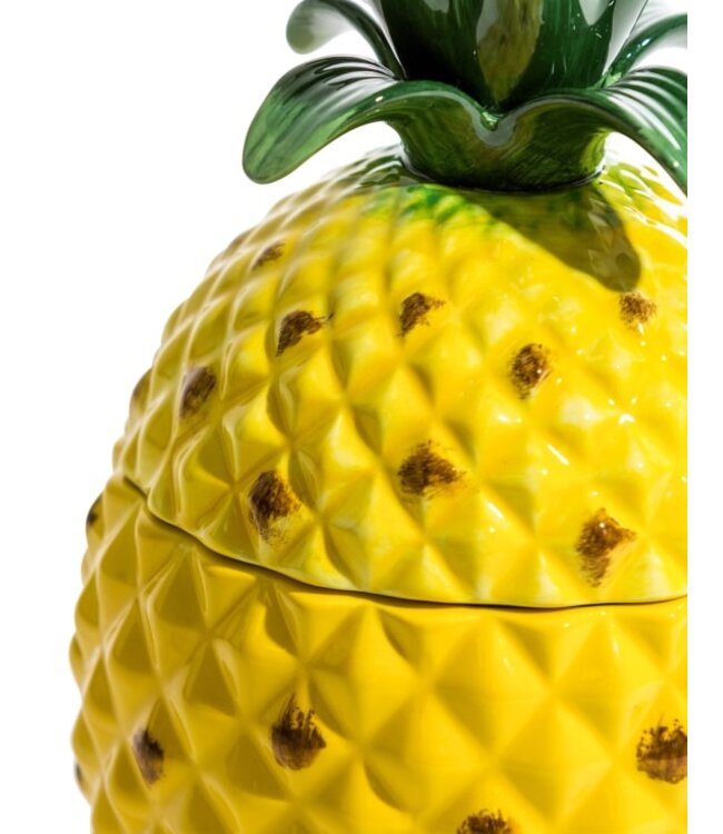 Large Ceramic Pineapple Jar