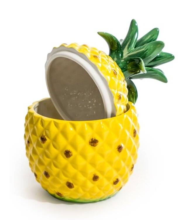 Large Ceramic Pineapple Jar