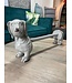 Dog Kitchen Roll Holder