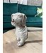 Dog Kitchen Roll Holder