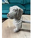 Dog Kitchen Roll Holder
