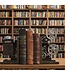 Projector  Bookends – Poly-Resin Pair (20cm) | Retro Shelf Decor