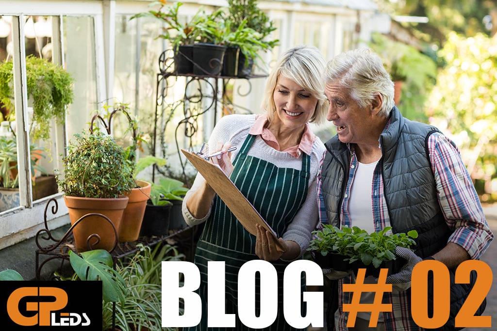 Blog #2 - Je eigen voedsel telen kan iedereen!
