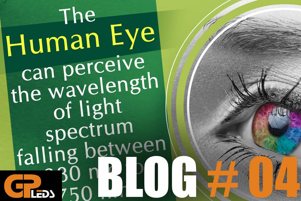 Blog #4 - Hoe gebruiken planten verschillende lichtspectra