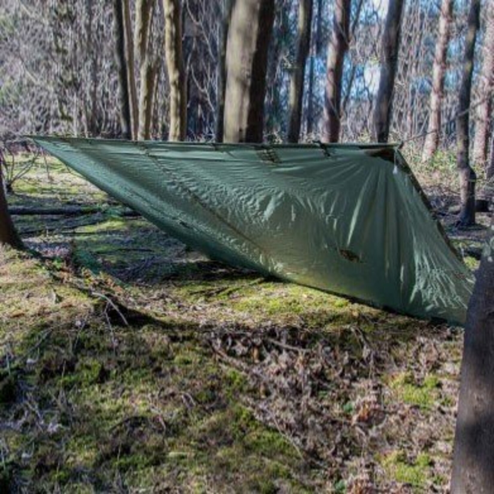 Highlander Tarp  Basha Shelter- Camouflage en Olive