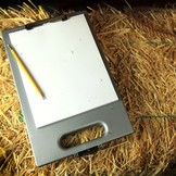 Alle Wetter Kopierpapier A4 50 Blatt - Grau