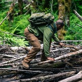 Apex Pant - Ranger Green