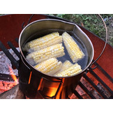 Pathfinder RVS Bushpot 3.5L with lid