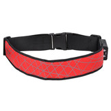 Nite Ize L.E.D. Sport Belt