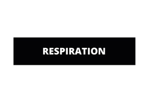 Respiration patch