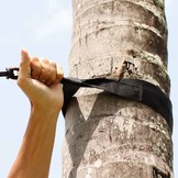 Moon Straps - Tree-friendly