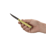 CEO Bamboo, Richard Rogers