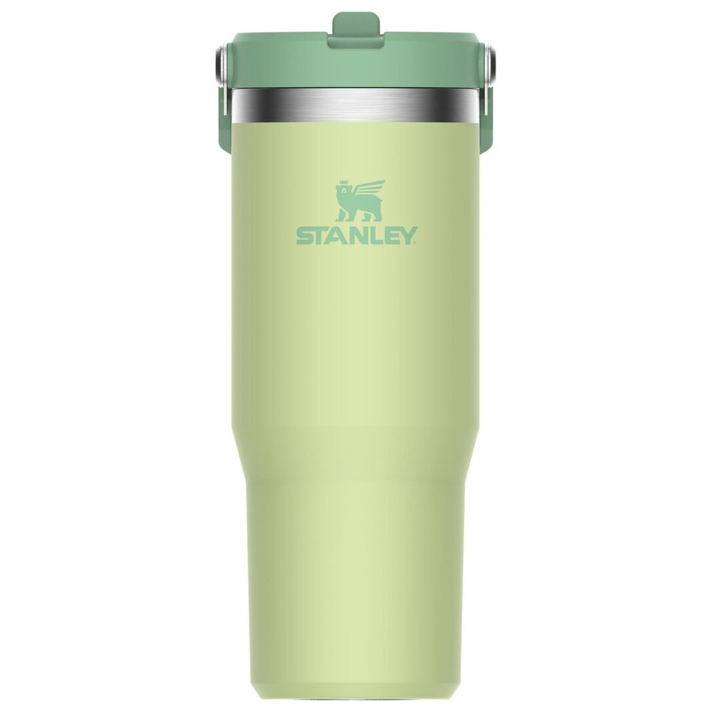 Stanley The IceFlow Flip Straw Tumbler 10-09993-195, Guava, bottle