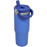 The IceFlow Flip Straw Tumbler 0.88L - Iris