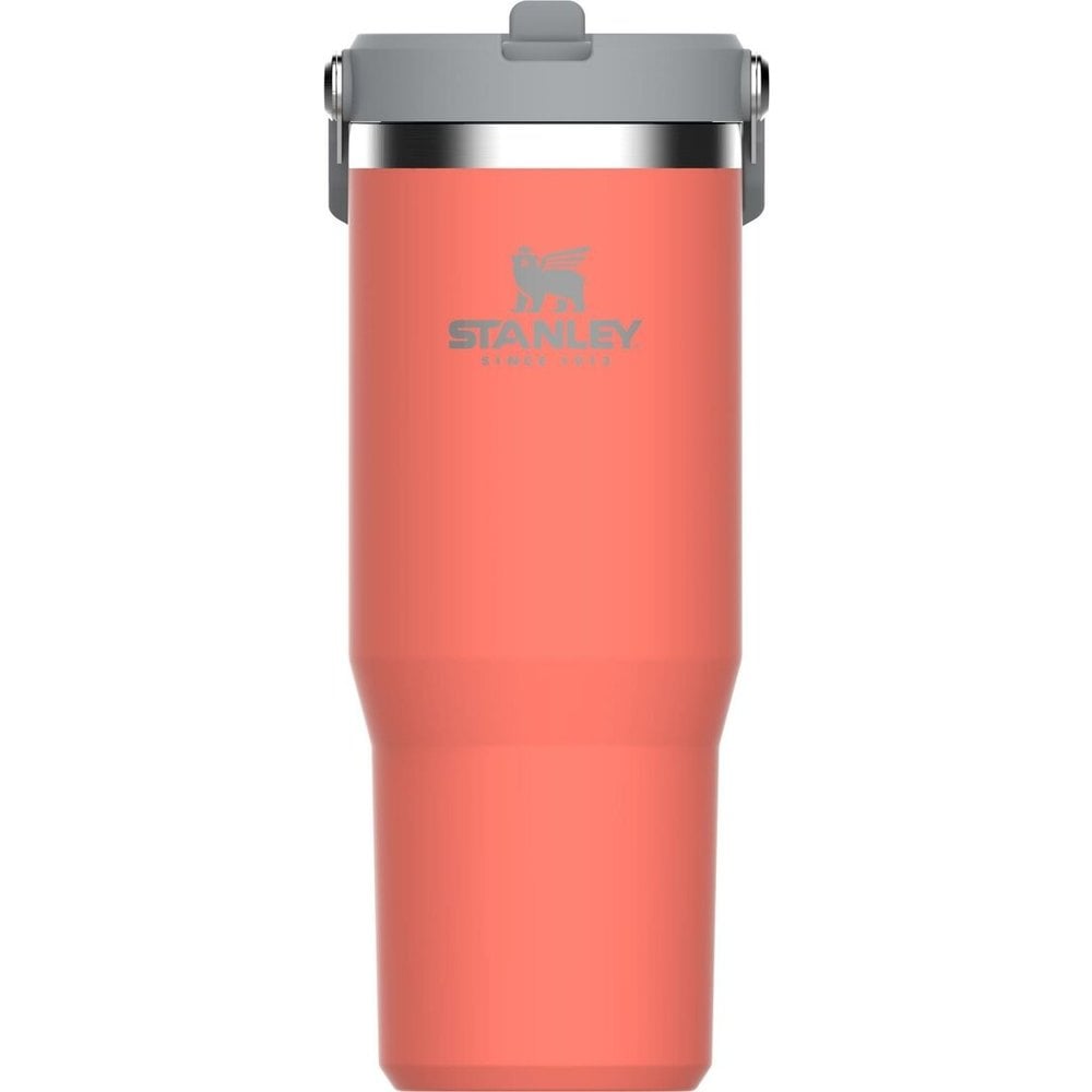 https://cdn.webshopapp.com/shops/24976/files/428402889/1000x1000x2/stanley-the-iceflow-flip-straw-tumbler-088l-guava.jpg