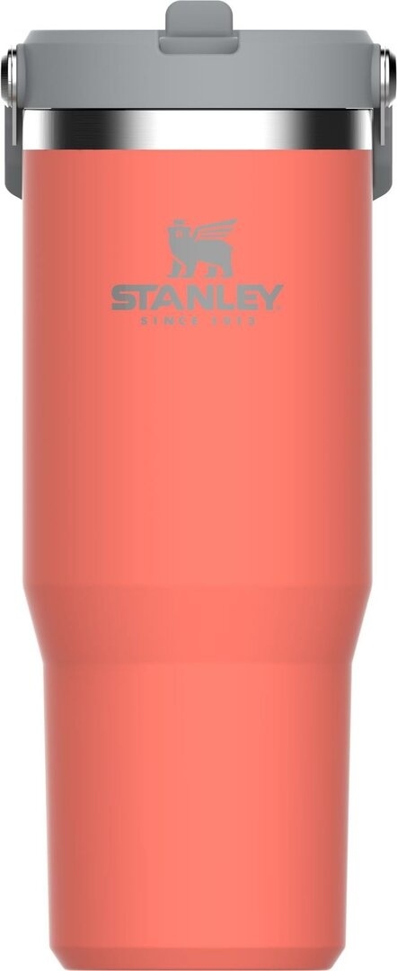 Stanley IceFlow Stainless Steel Bottle, Guava