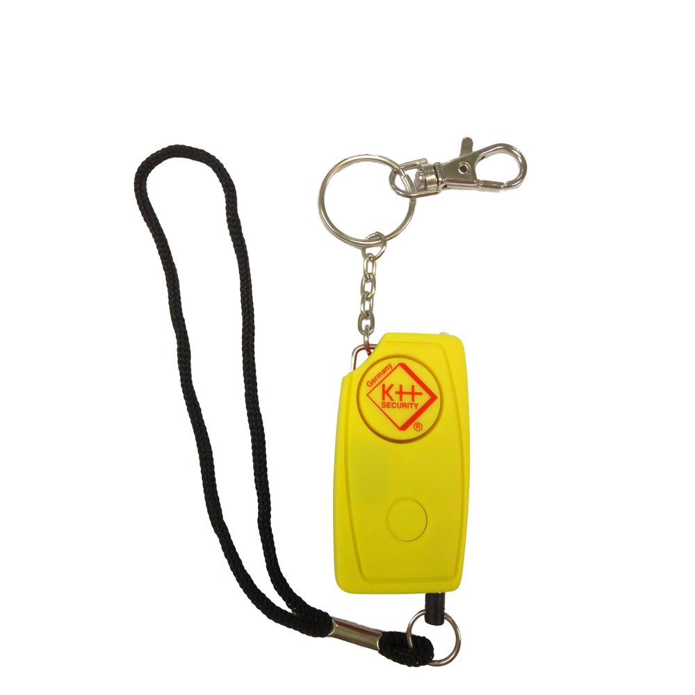 KH Security Menottes Chevilles Acier Inoxydable - Chaîne 43 Cm - Modèle Professionnel Avec Double Verrouillage Et 2 Clés