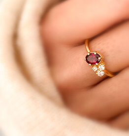 Atelier Maison Seize the day | nat. framboosgranaat en LGD