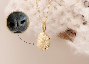 Nose & Paw collectie