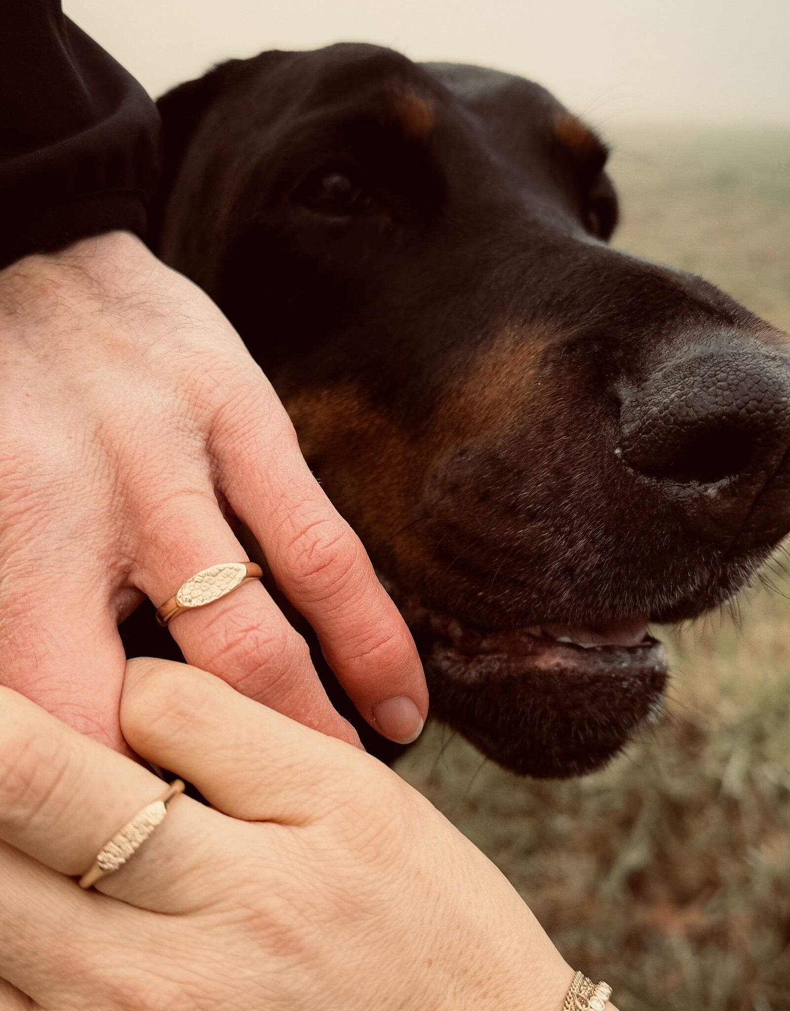 Atelier Maison Snoot Dog ring