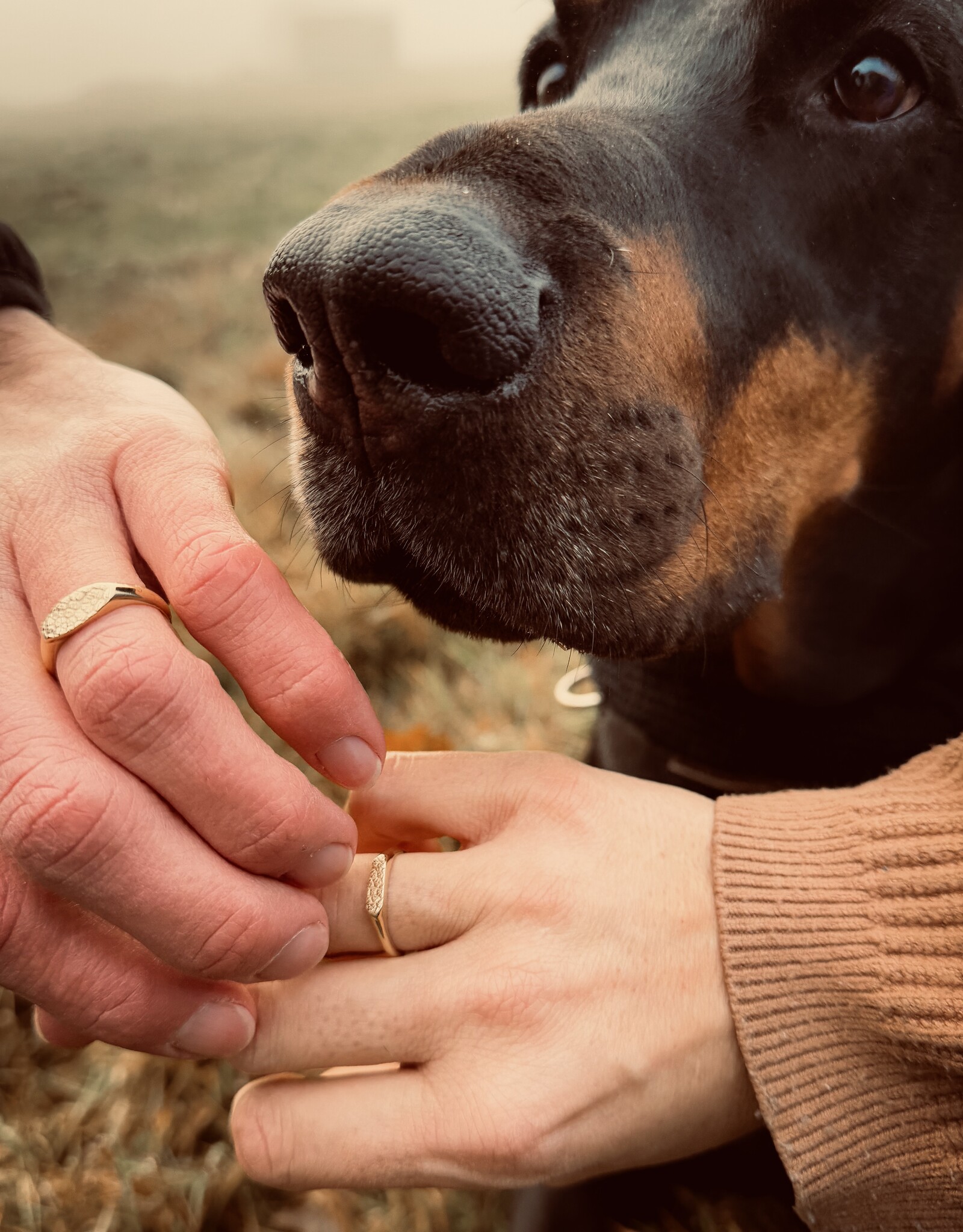 Atelier Maison Snoot Dog ring