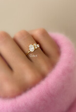 Atelier Maison Seize the day ring | diamanten