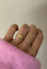Atelier Maison Everprint ring | ≠  formaten Atelier Maison Everprint ring | ≠  formaten