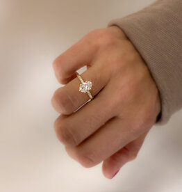 Atelier Maison Wonderland ring | vanaf