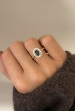 Atelier Maison The Entourage asse ring ≠  kleuren