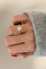 Atelier Maison mt52| 18K geel goud